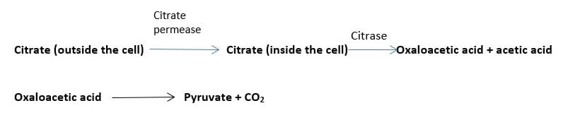 Principle of Citrate Utilization Test