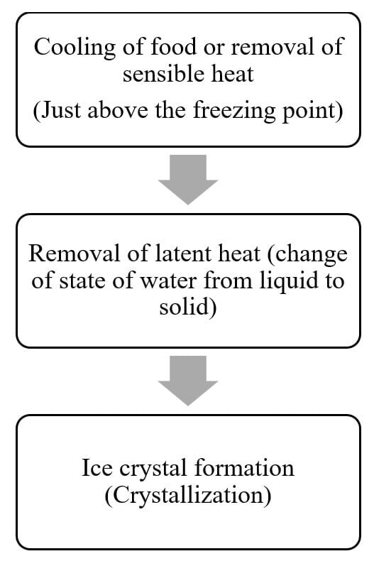 Stages of freezing