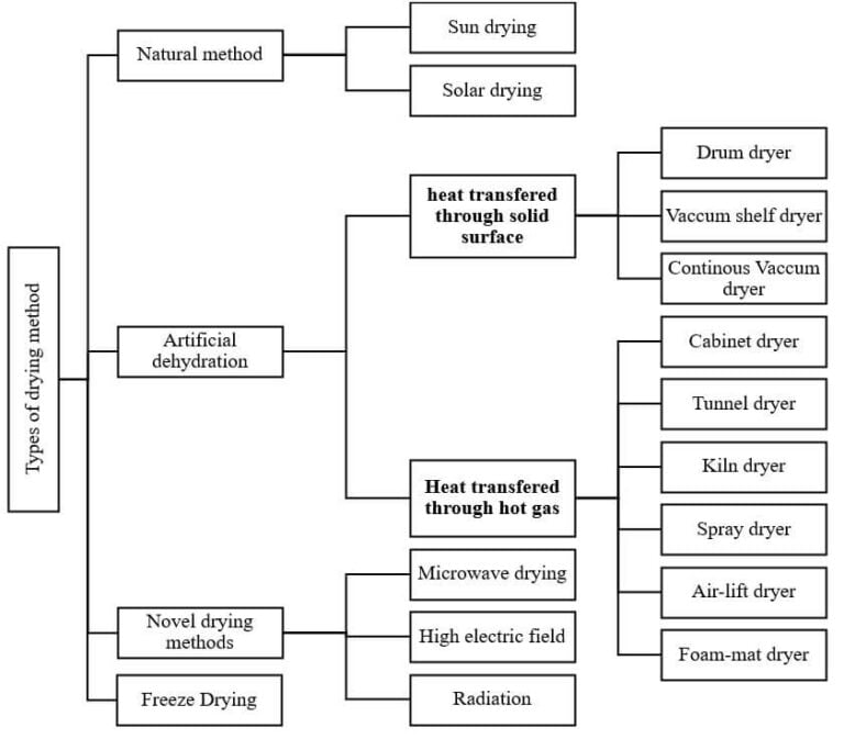 Drying Method of Food Preservation with Types, Examples