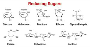 Examples of Reducing Sugars