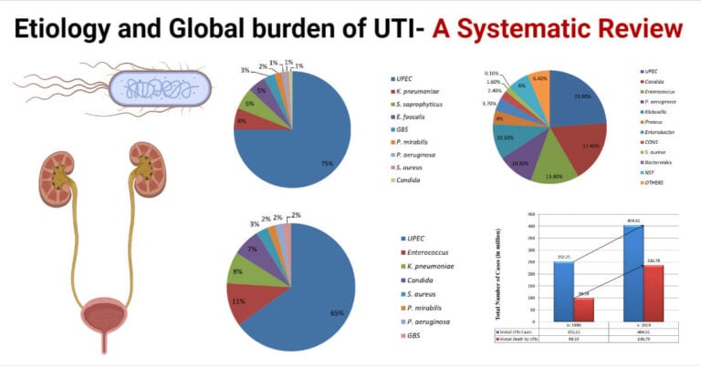 Etiology And Global Burden Of Uti A Systematic Review