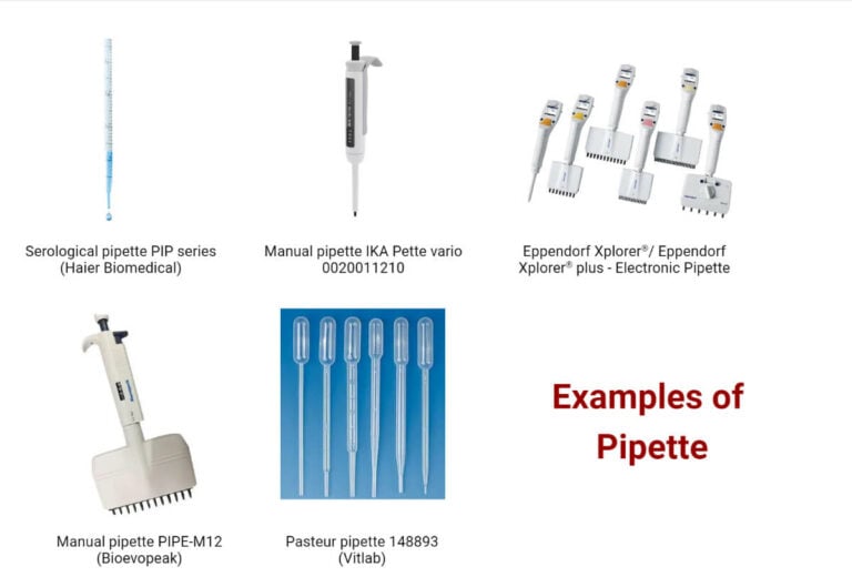 Pipette Principle, Parts, Types, Procedure, Uses, Examples