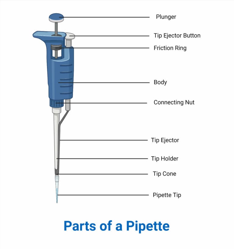 Pipette Principle, Parts, Types, Procedure, Uses, Examples