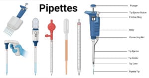 Pipette- Principle, Parts, Types, Procedure, Uses, Examples