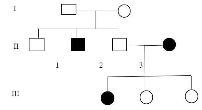 Chart Indicating The recessive pedigree