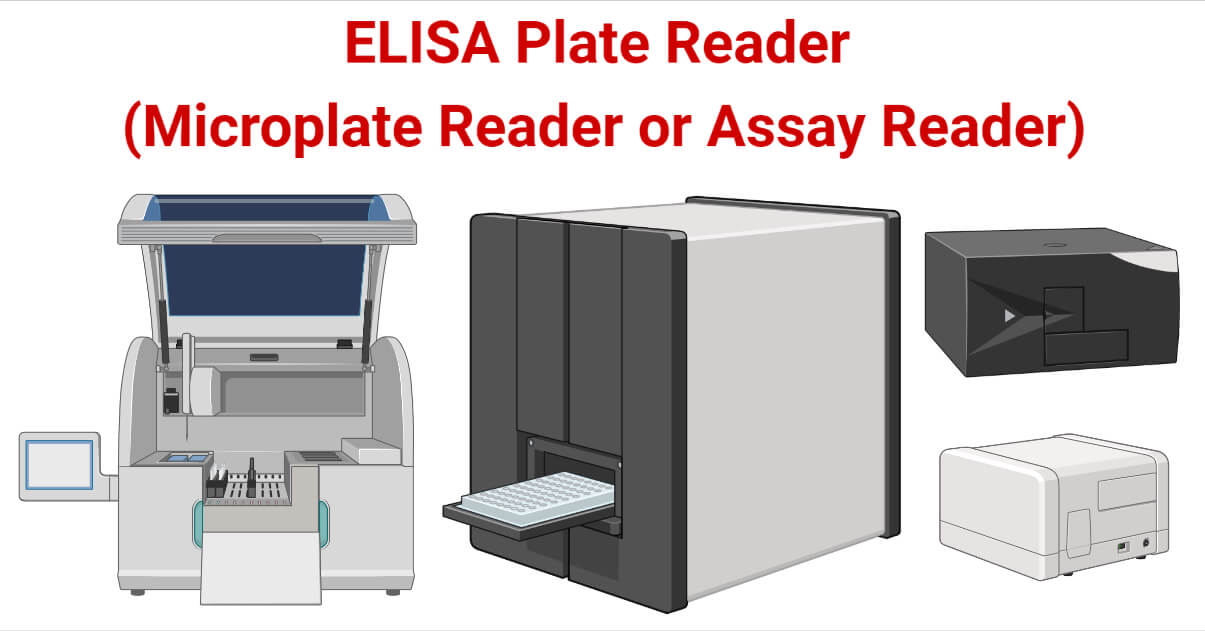 ELISA Plate Reader (Microplate Reader or Assay Reader)