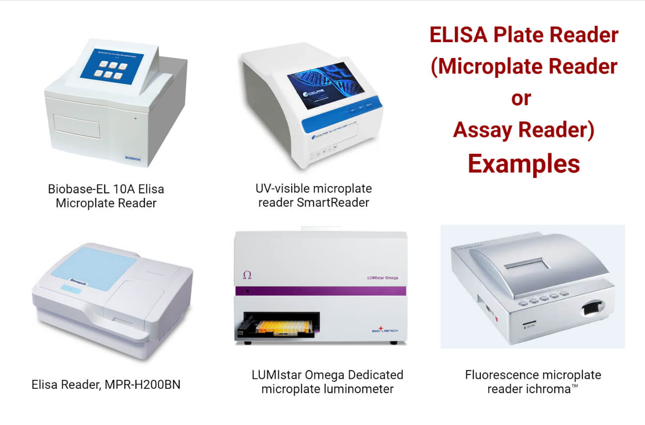ELISA Plate Reader or Microplate Reader or Assay Reader Examples