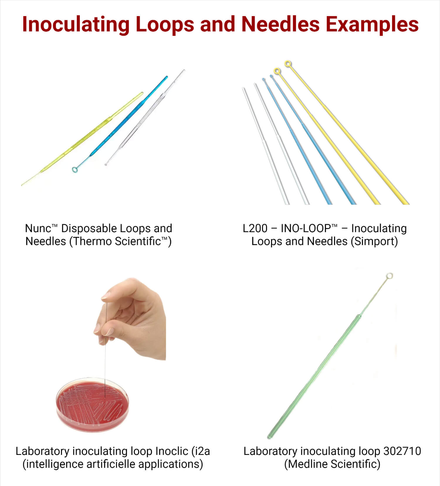 Inoculating Loops and Needles Examples