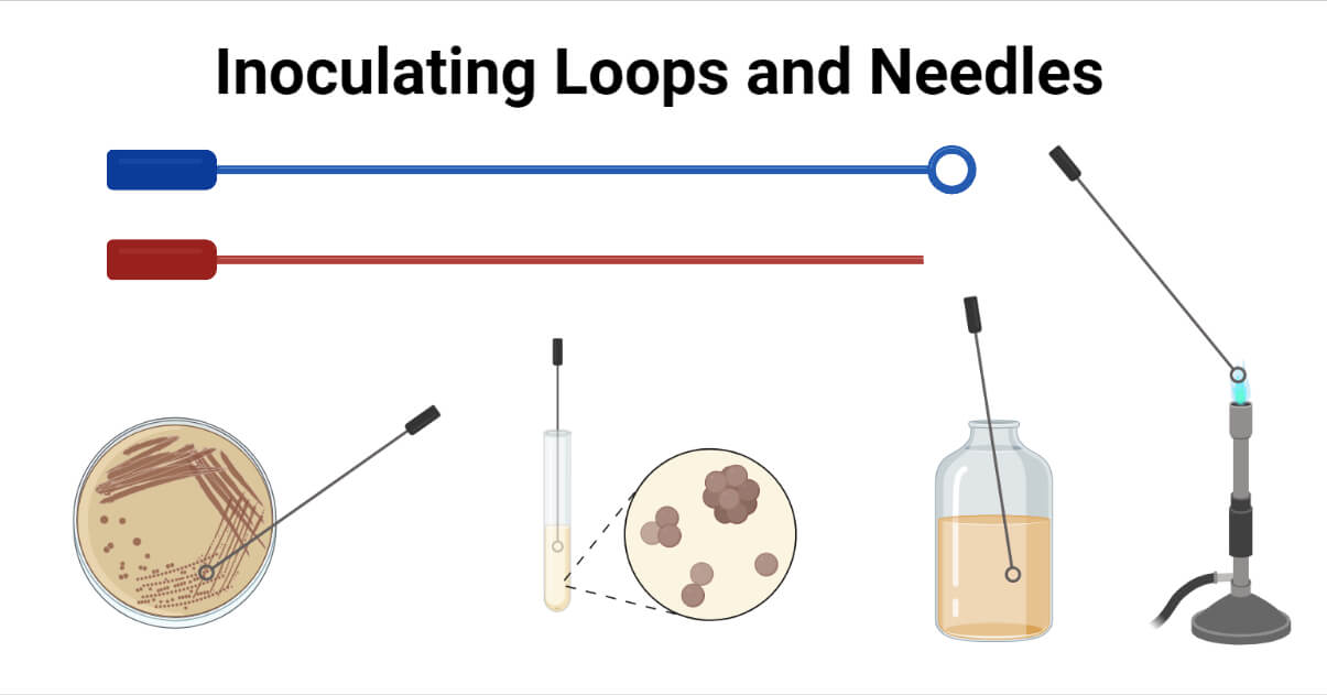 Inoculating Loops and Needles