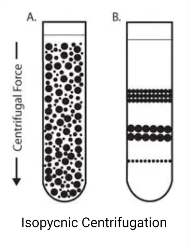 Centrifuge Principle Parts Types Uses Examples