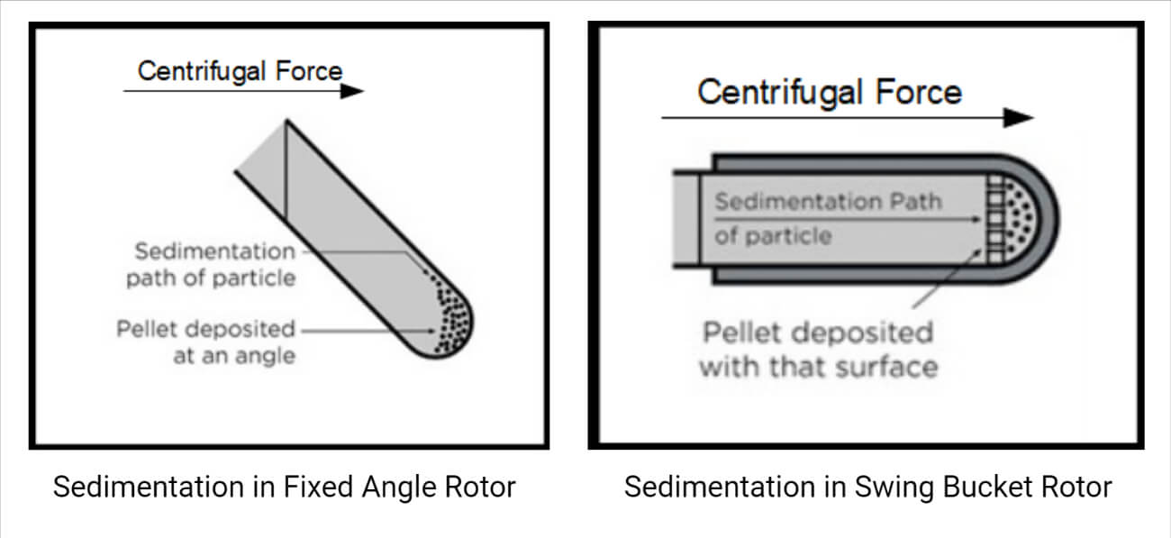 Centrifuge Principle, Parts, Types, Uses, Examples