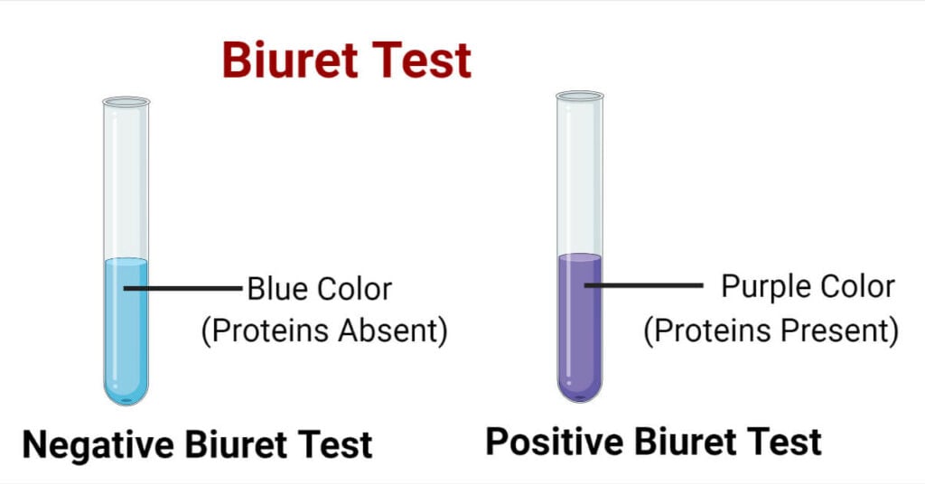 research paper on biuret test