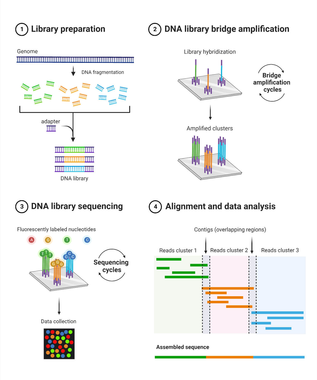 Next Generation Sequencing 454 Next Generation Sequencing 454