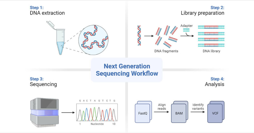 Genetic Engineering Principles Tools Examples Applications