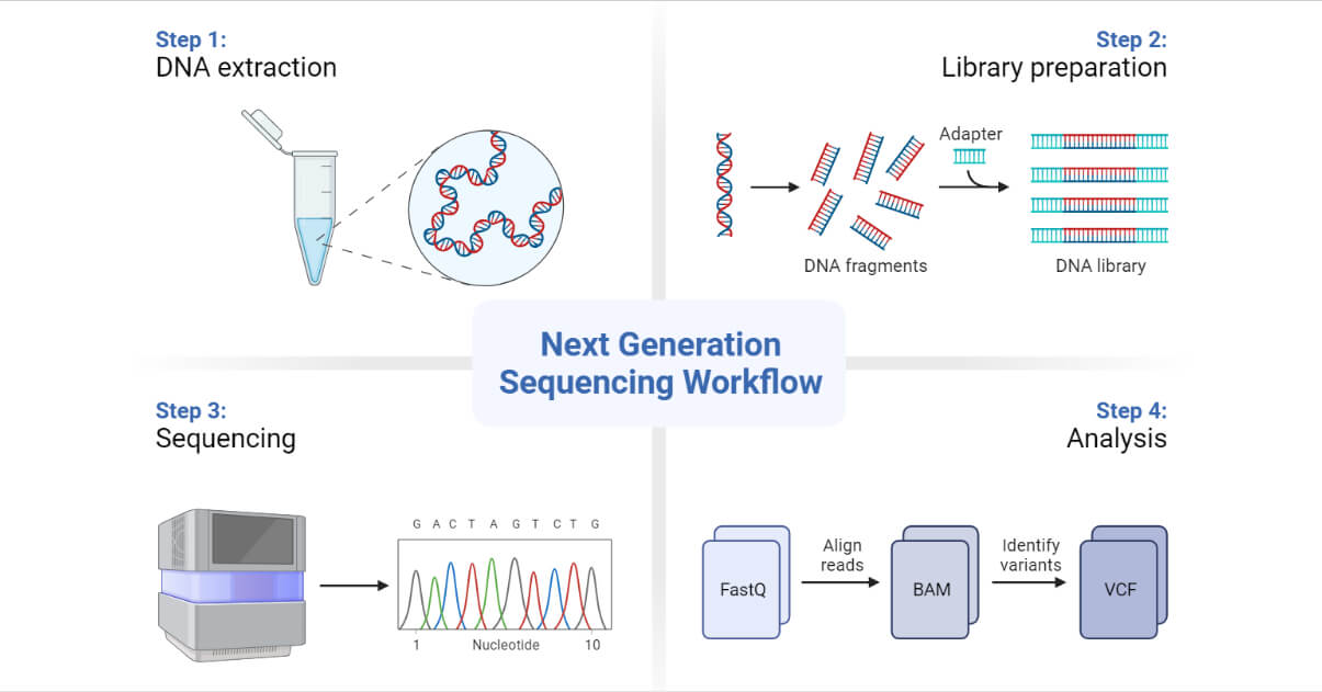 Sequencing Dna DNA Sequencing Science Learning Hub Sequencing Dna DNA Sequencing Science Learning Hub