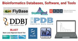 Bioinformatics Databases, Software, and Tools