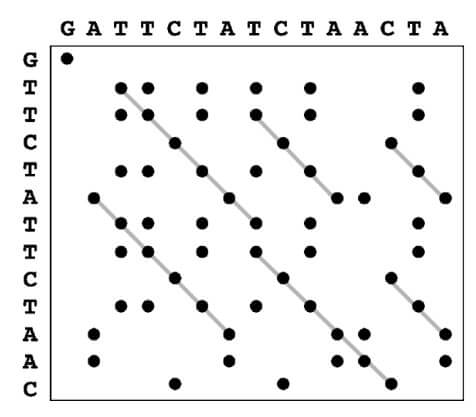 Pairwise Sequence Alignment