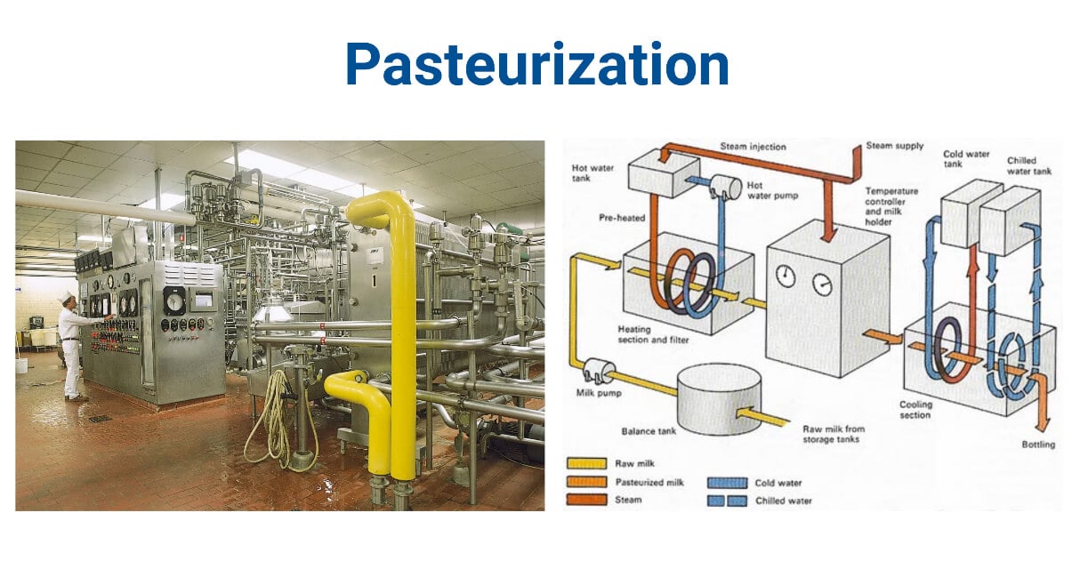 Pasteurization