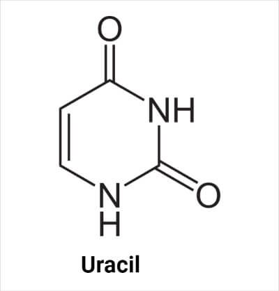 Structure of Uracil