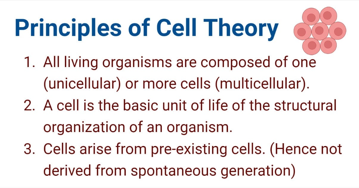3 Principles of Cell Theory