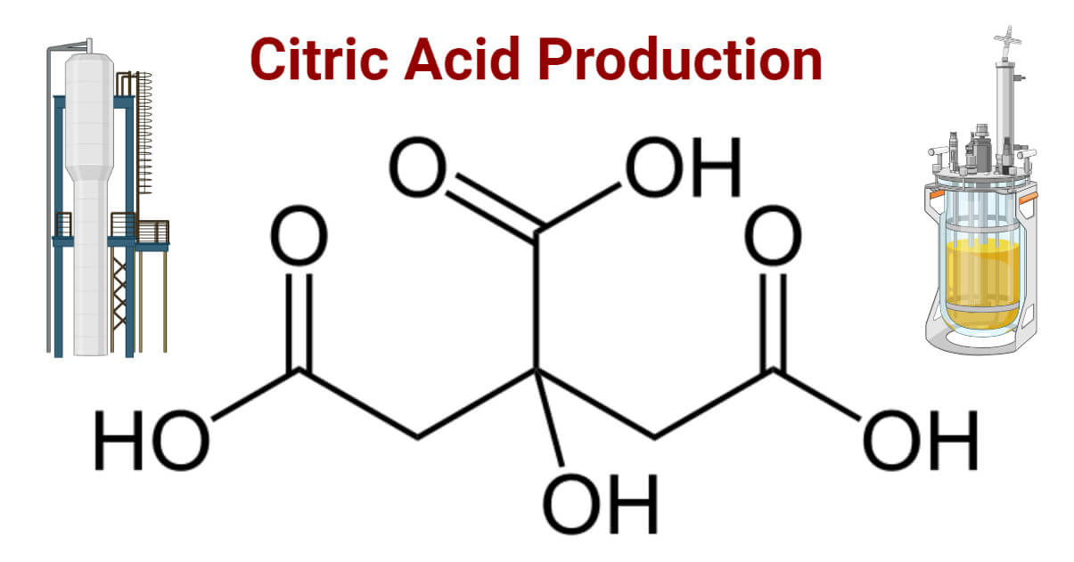 Citric Acid Production