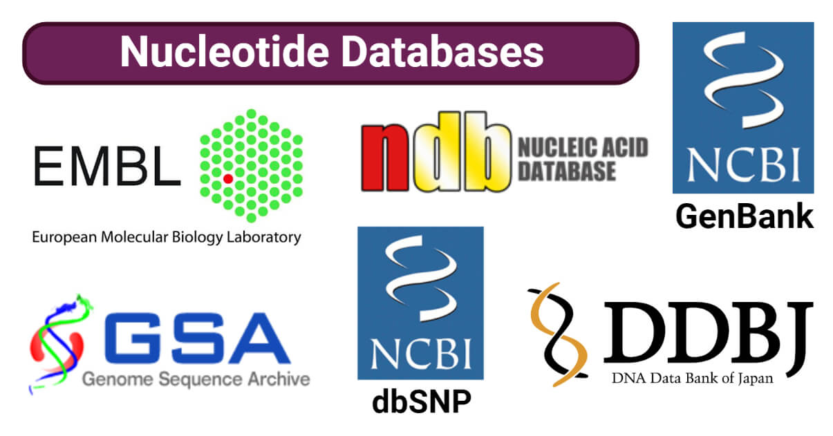 Nucleotide Databases
