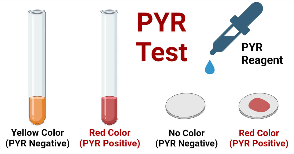 PYR Test