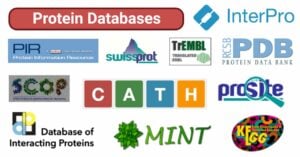 Protein Databases