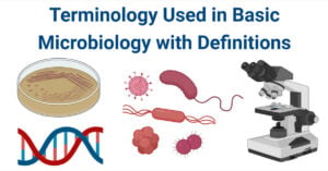 Terminology Used in Basic Microbiology