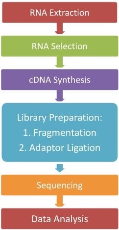 The indirect method of RNA Sequencing