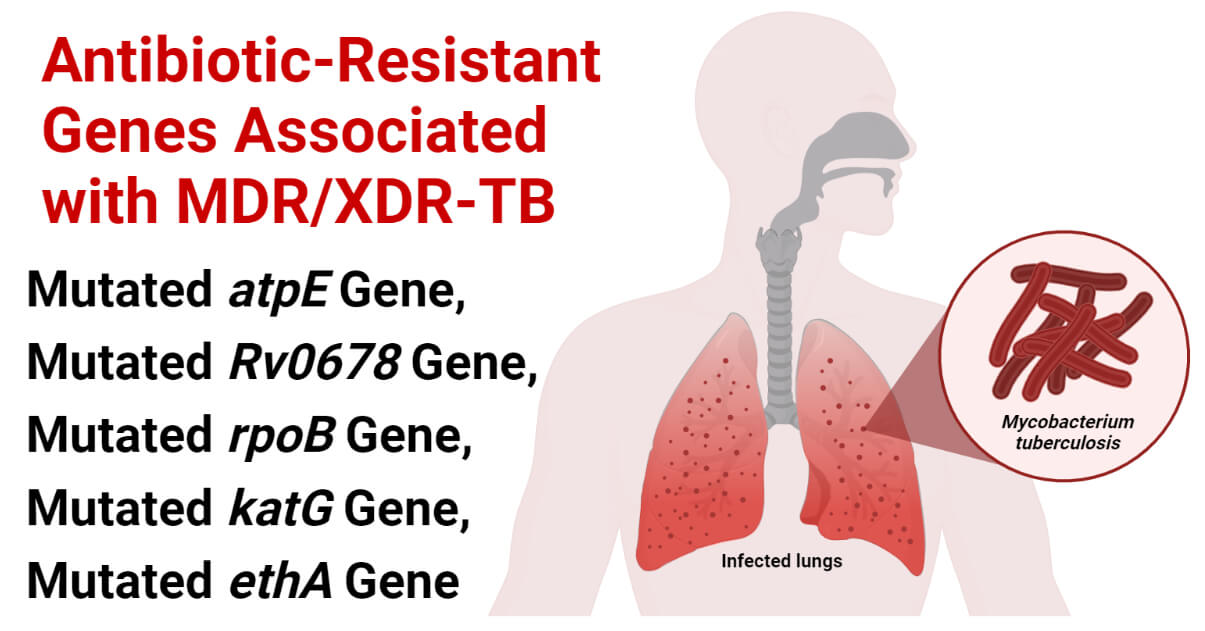 Antibiotic Resistance Genes in Tuberculosis (TB)