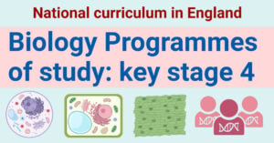 Biology Key Stage 4 Syllabus (National Curriculum England)