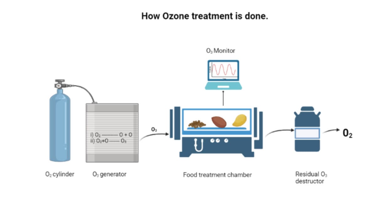 Ozone Treatment- Food Preservation Technique
