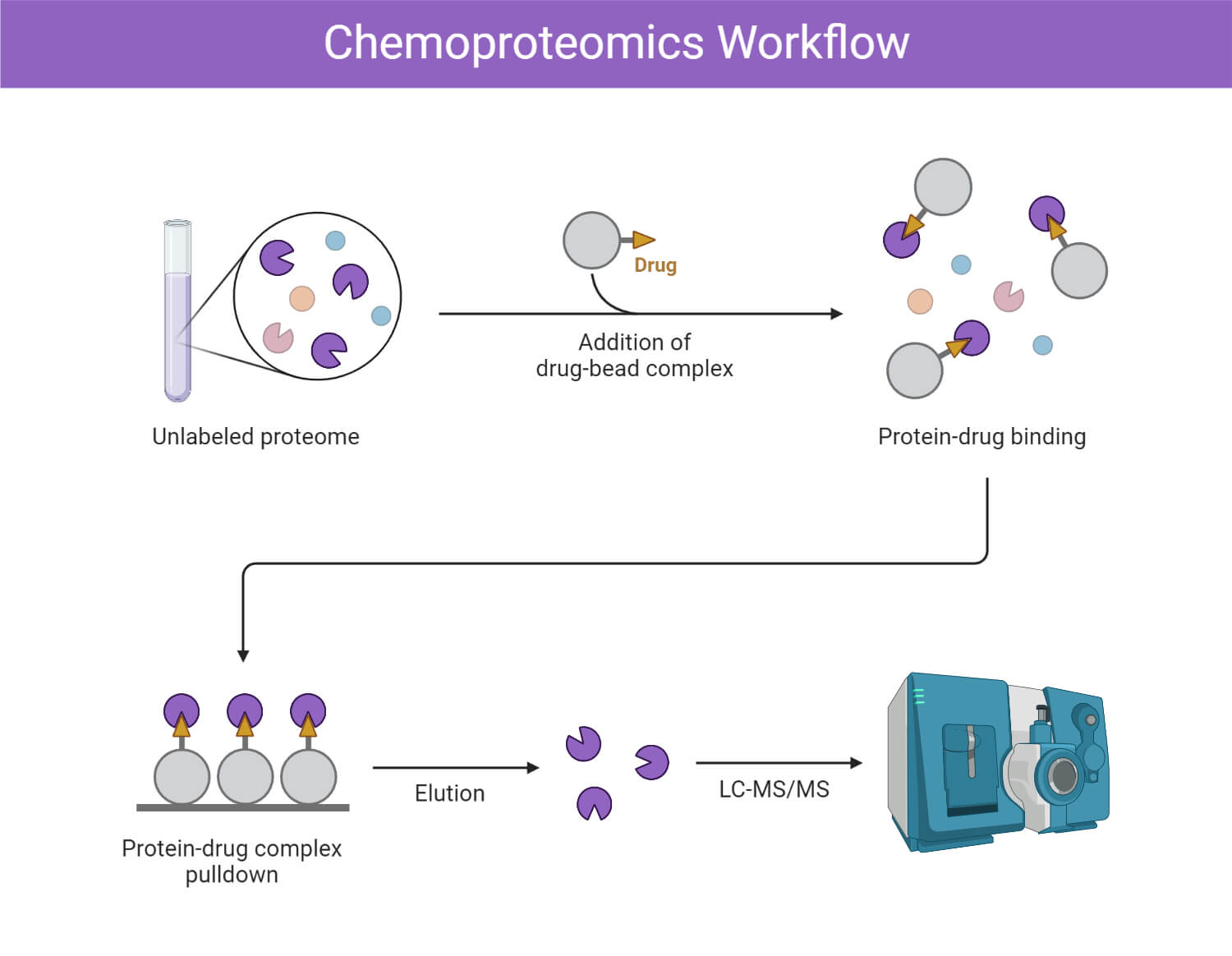Chemoproteomics Workflow