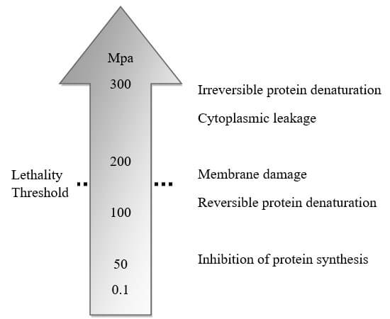 Effect of pressure on microbial lethality