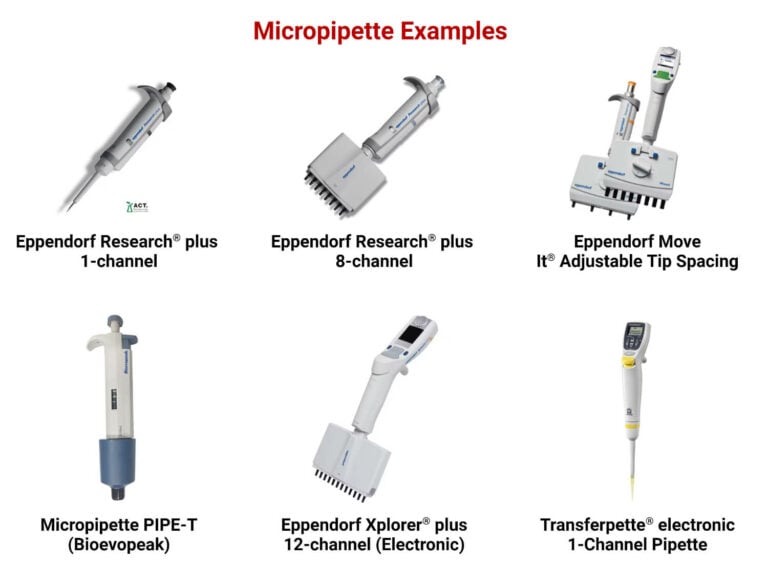 Micropipette: Types, Parts, Working, Uses, 5 Examples