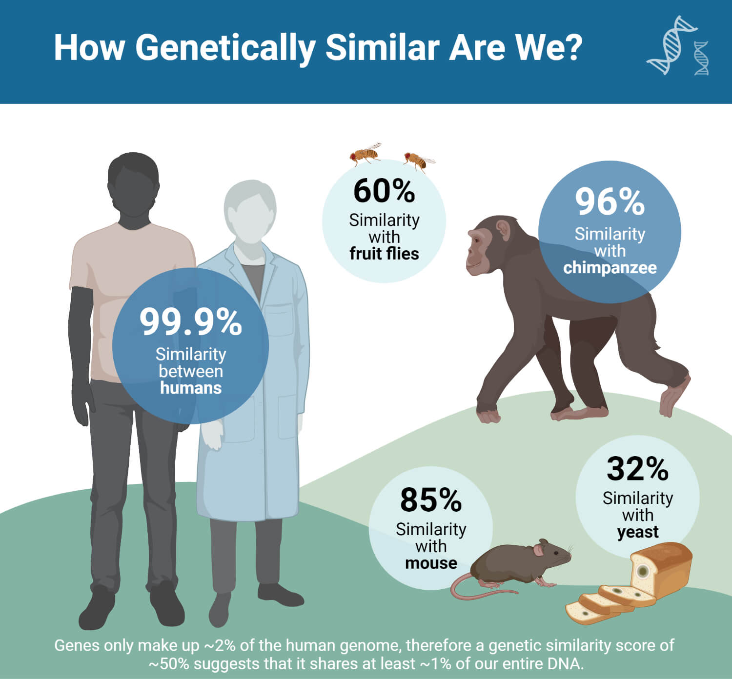 How Genetically Similar Are We