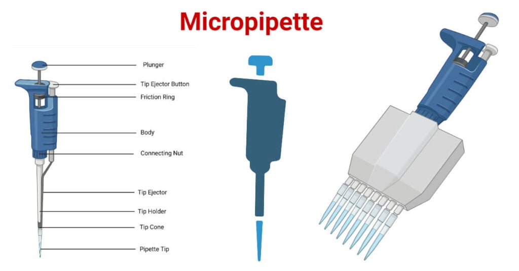 Micropipette Types, Parts, Working, Uses, 5 Examples