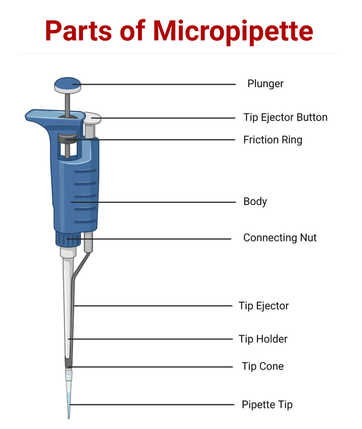 Parts of Micropipette