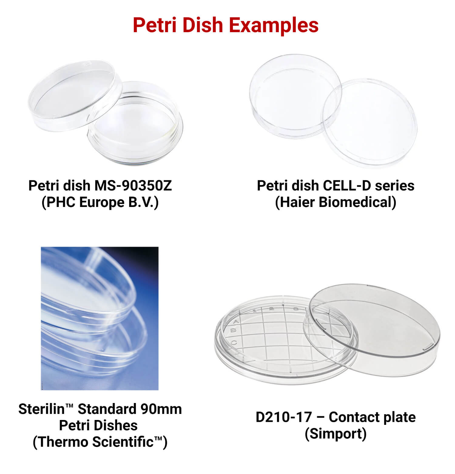 Petri Dish Examples