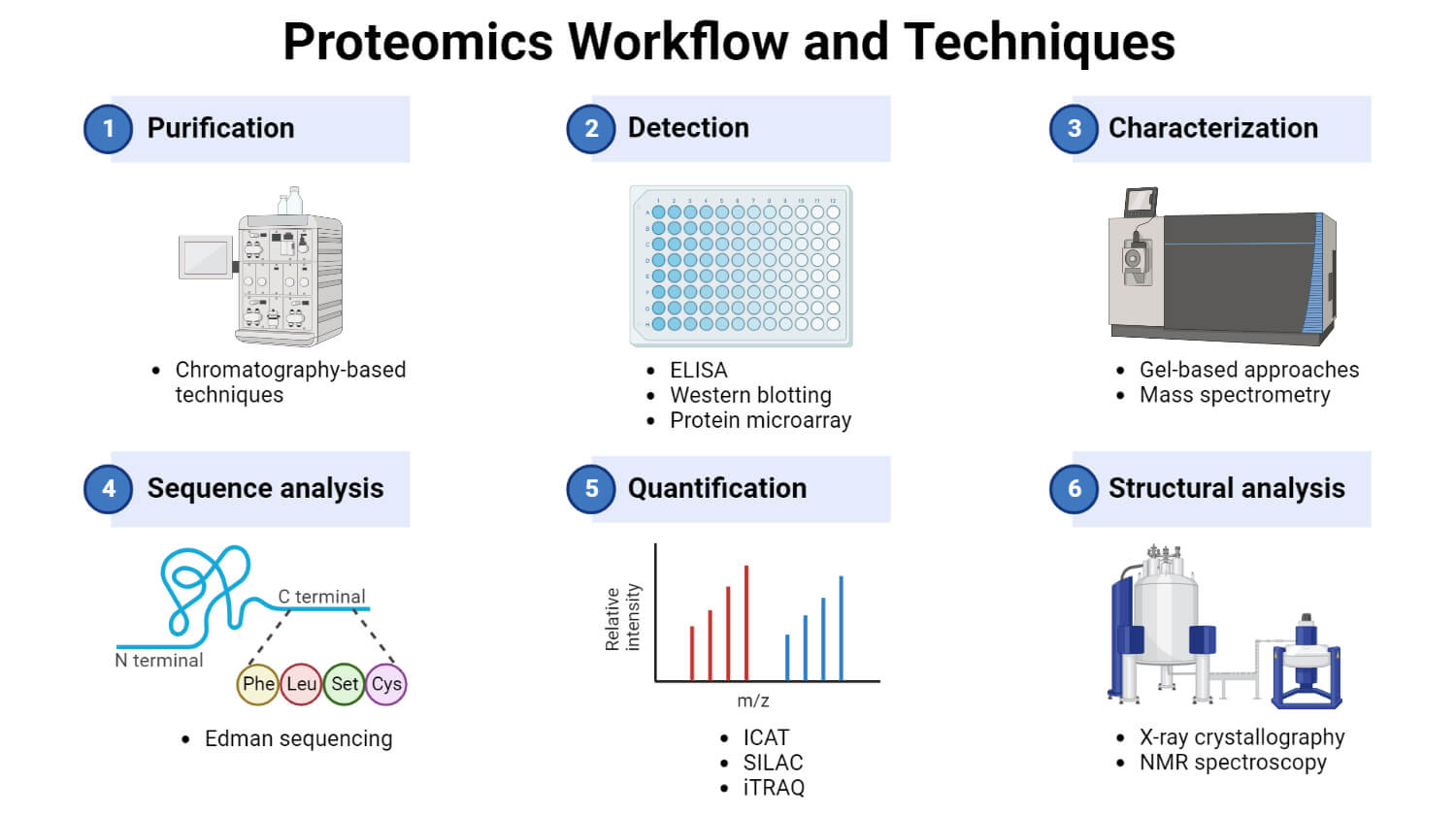 Proteomics Workflow and Techniques