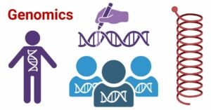 Structural and Functional Genomics