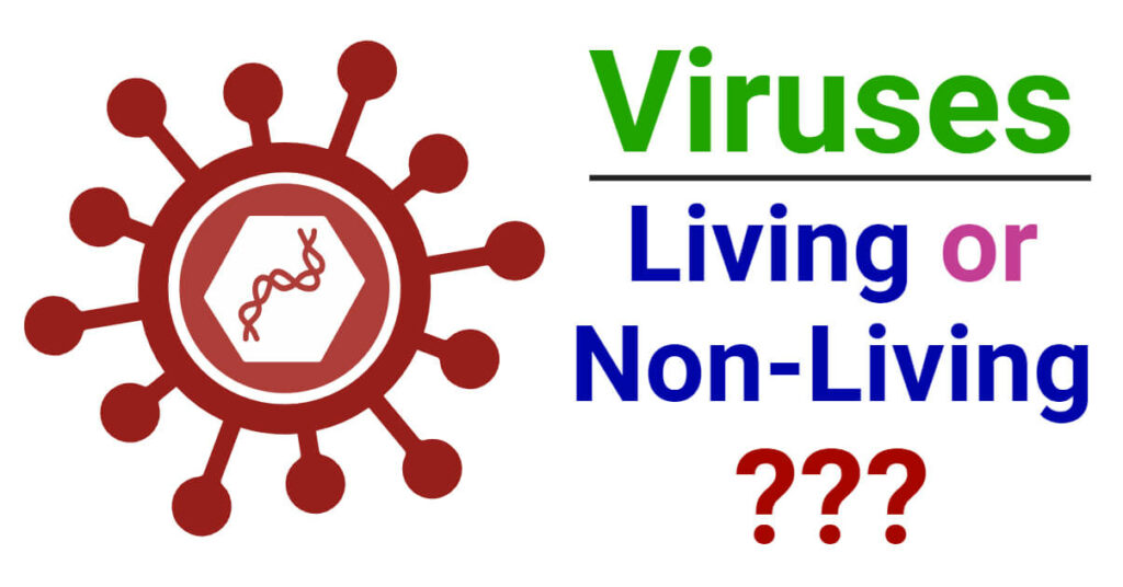 Are Viruses Living Or Non Living Or A Borderline