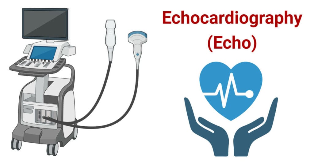 Echocardiography Echo Principle Types Procedure Uses