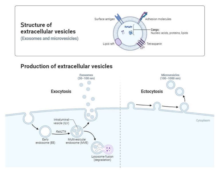 Horizontal Gene Transfer in Prokaryotes and Eukaryotes