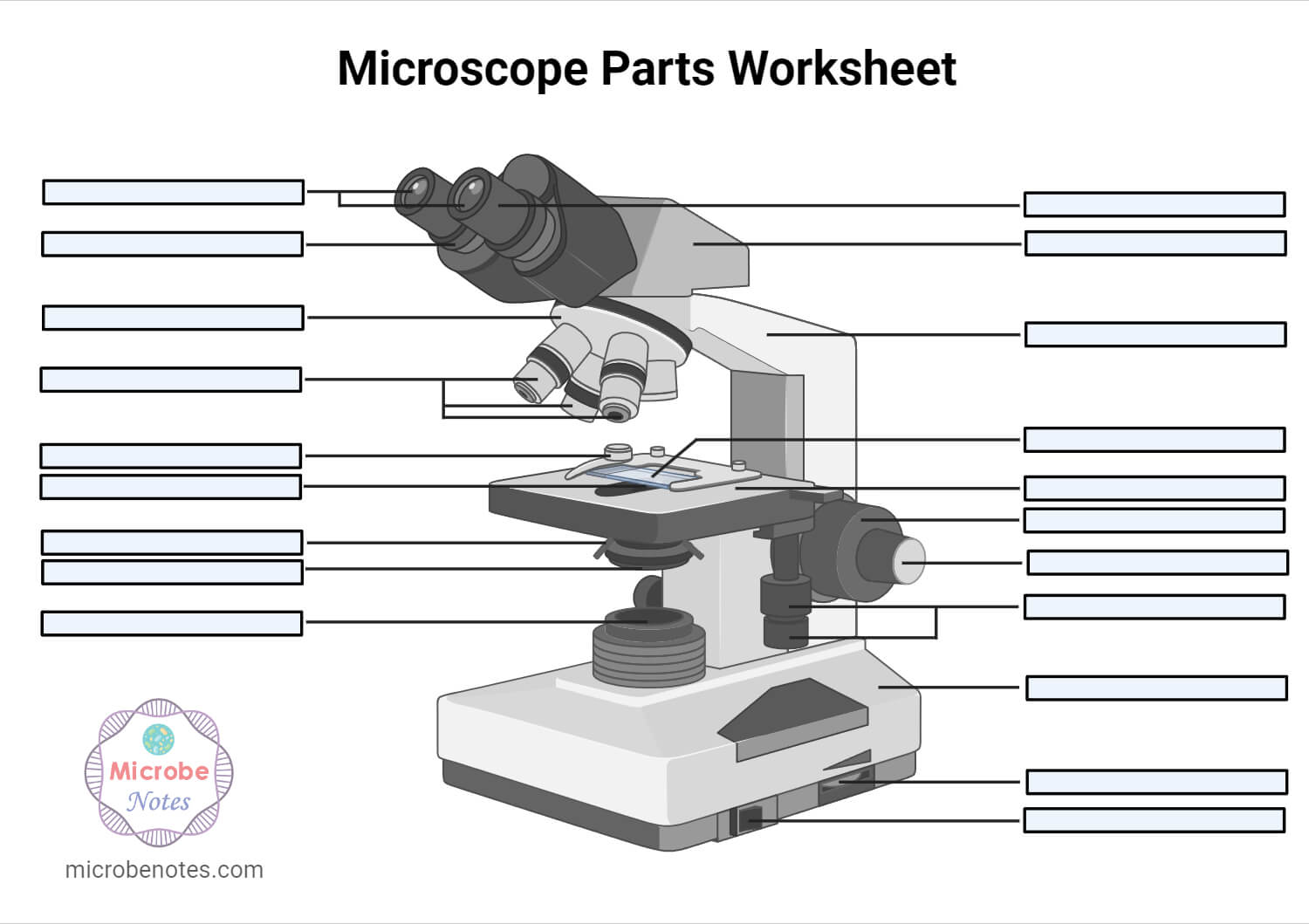 Microscope Parts Worksheet