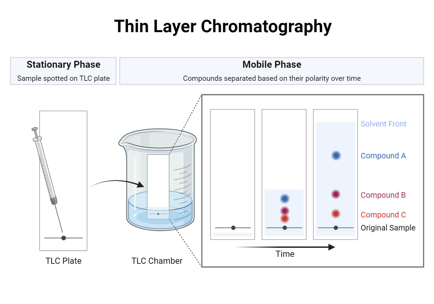 Thin Layer Chromatography Principle, Parts, Steps, Uses