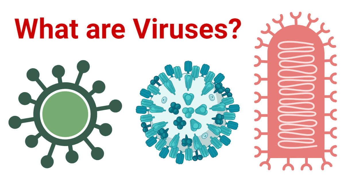 What are Viruses