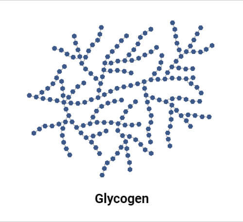 Glycogen