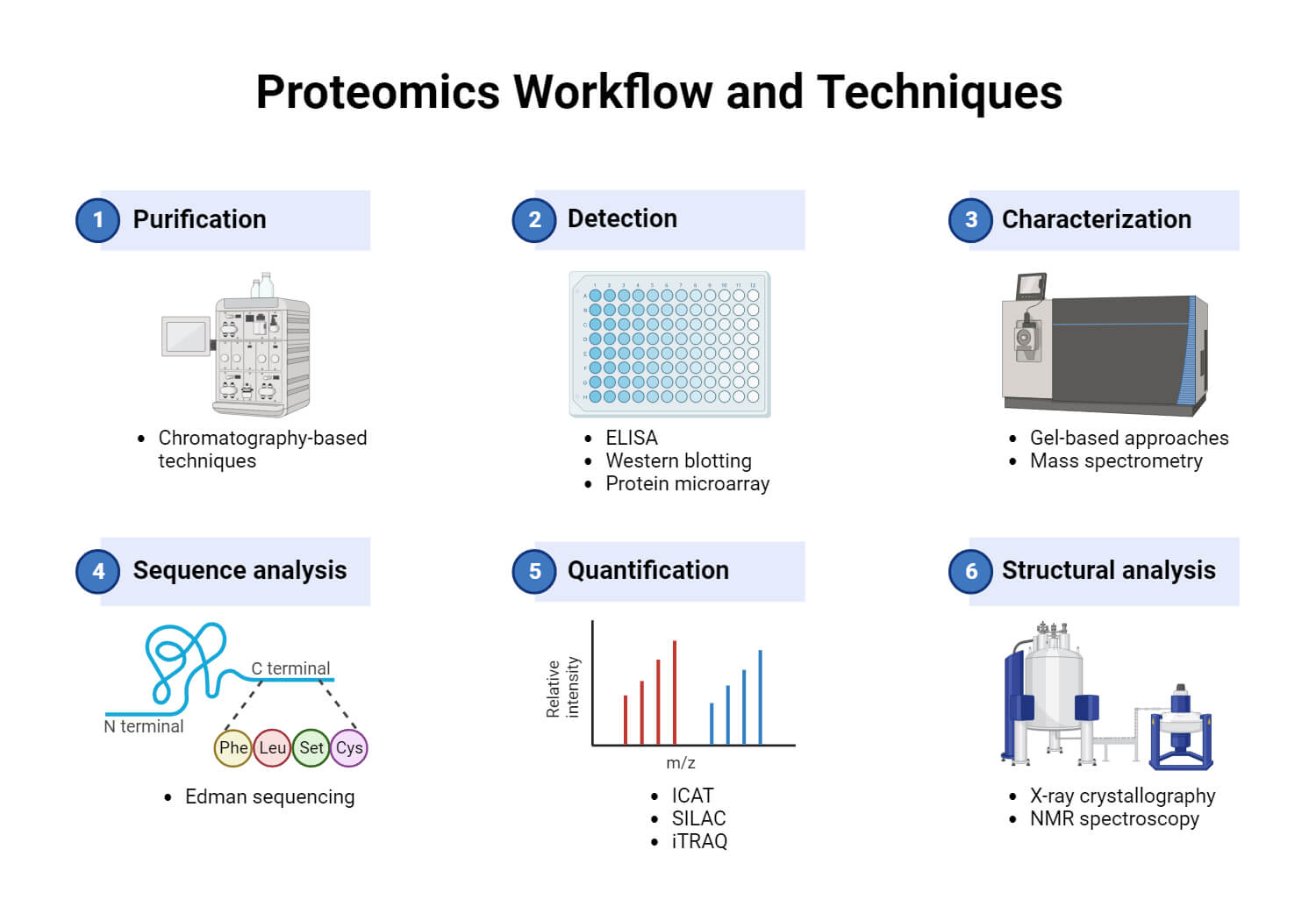 Proteomics Workflow and Techniques